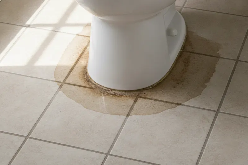The base of a toilet on a tiled floor with a water stain spreading through the grout around it